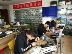 最新插逼片